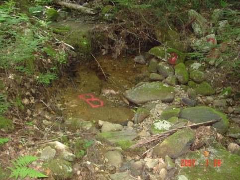 Dry bed of Amber Brook at point “B” on July 26, 2007