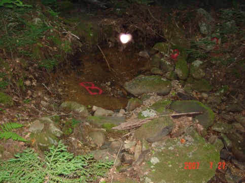 Dry bed of Amber Brook at point “B” on July 27, 2007