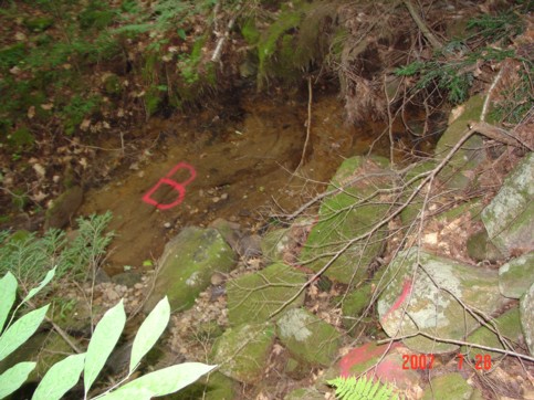 Dry bed of Amber Brook at point “B” on July 28, 2007
