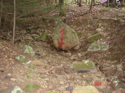 Dry bed of Amber Brook at point “1” on August 7, 2007