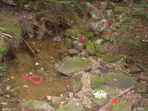 Dry bed of Amber Brook at point “B” on August 7, 2007