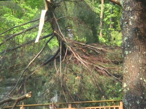 Heavy damaged roof