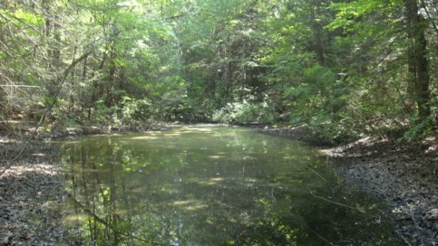 Vernal pool on top of ridge.