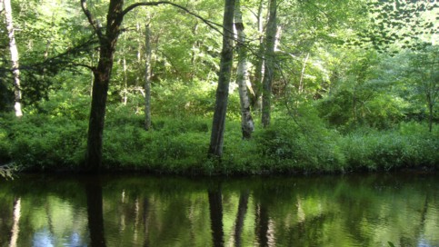 Slow moving Quinebaug river.