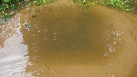 Submerged grate of clogged catch basin at PJ’s