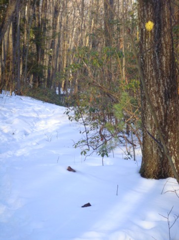 Follow the yellow dots on the trees along the trail.