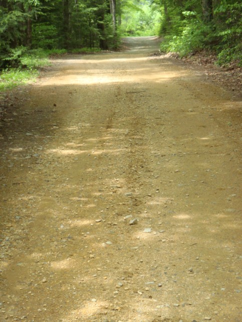 Private Way “South Wales Road” towards the Rod and Gun Club