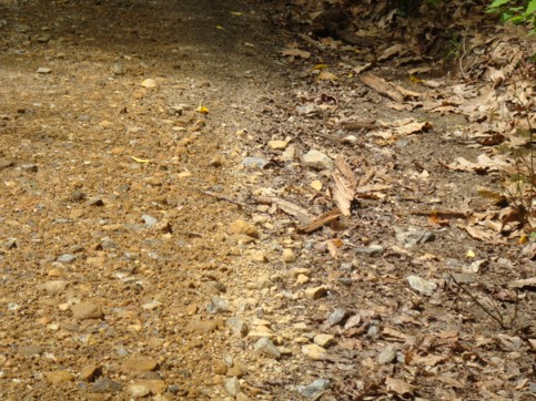 Private Way “South Wales Road” towards the Rod and Gun Club