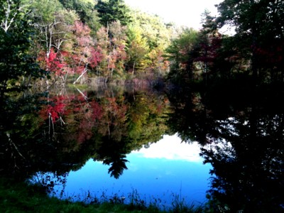 One of the two ponds located in front of the club house.