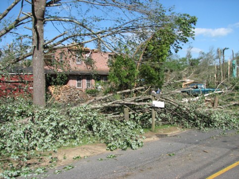 House-at-Holland-Road-94.